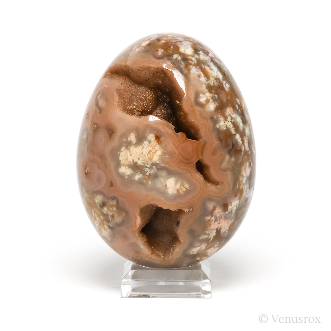 Agate Geode Egg from Brazil | Venusrox
