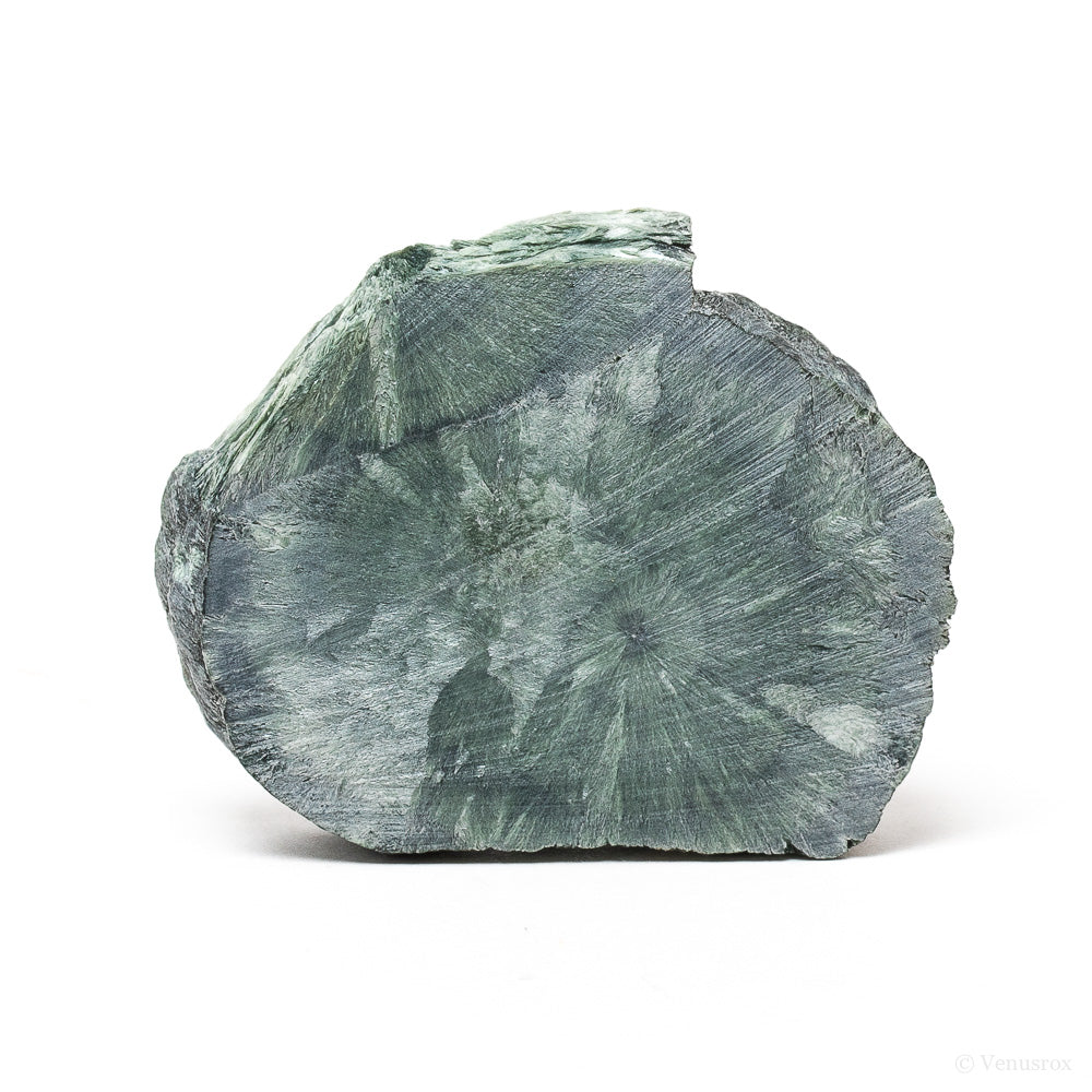 Seraphinite Polished/Natural Slice from the Korshunovskoye Iron Scary Deposit, Irkutskaya Oblast, Siberia, Russia | Venusrox