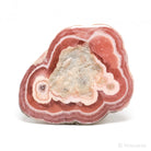 Rhodochrosite Polished/Natural Crystal from Argentina | Venusrox