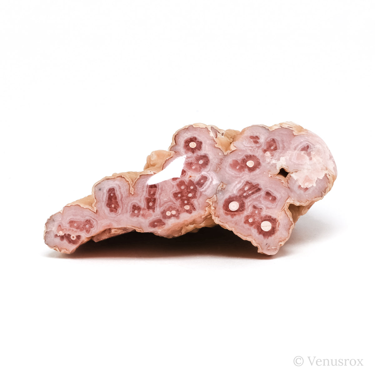 Rhodochrosite Polished/Natural Stalactite Crystal from Argentina | Venusrox