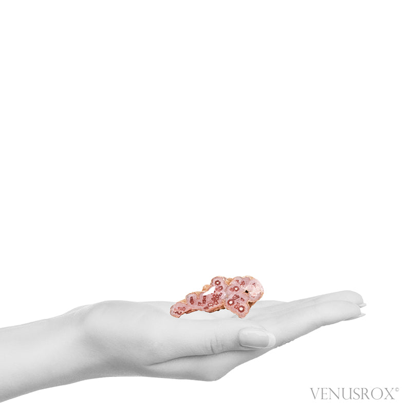 Rhodochrosite Polished/Natural Stalactite Crystal from Argentina | Venusrox