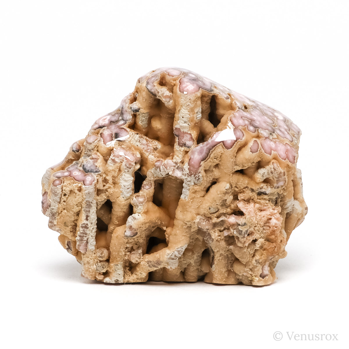 Rhodochrosite Polished/Natural Stalactite Crystal from Argentina | Venusrox