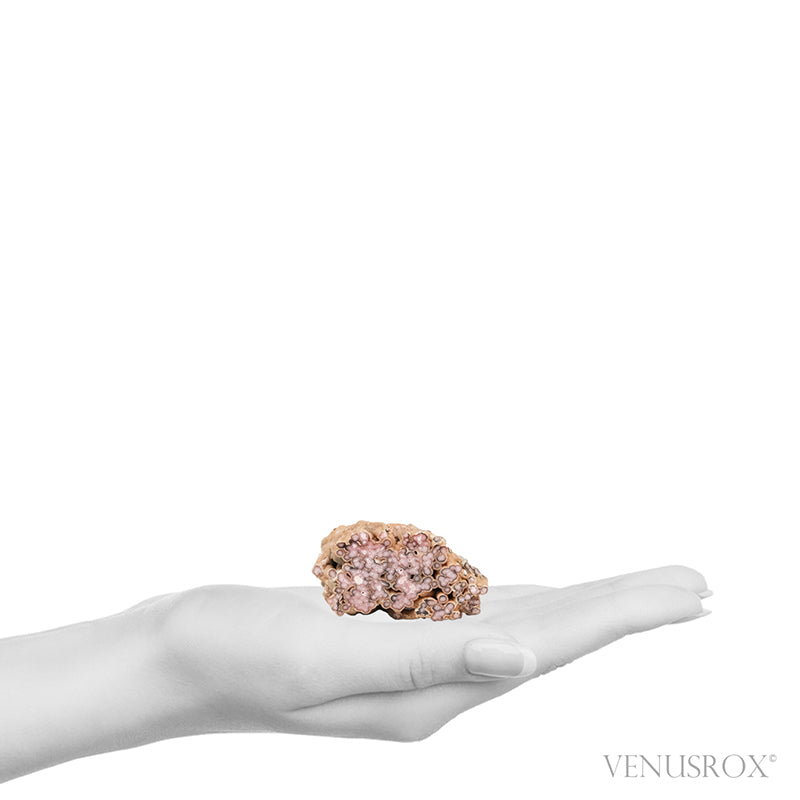 Rhodochrosite Polished/Natural Stalactite Crystal from Argentina | Venusrox