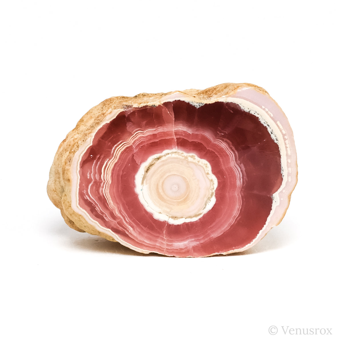 Rhodochrosite Polished/Natural Stalactite Crystal from Argentina | Venusrox