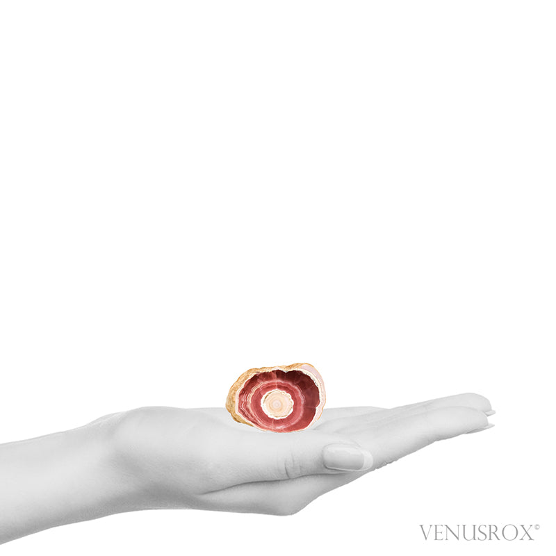 Rhodochrosite Polished/Natural Stalactite Crystal from Argentina | Venusrox