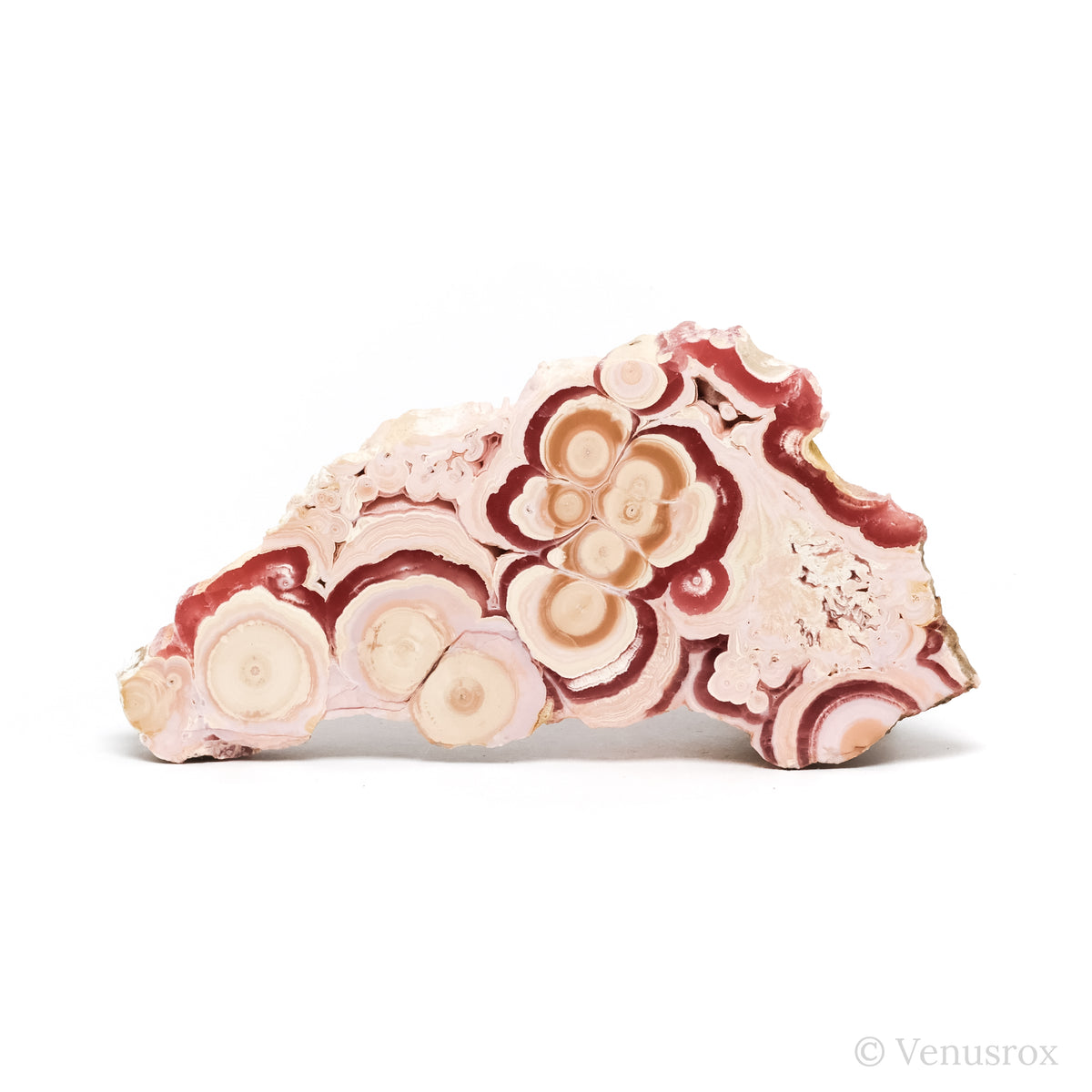 Rhodochrosite Polished/Natural Stalactite Crystal from Argentina | Venusrox