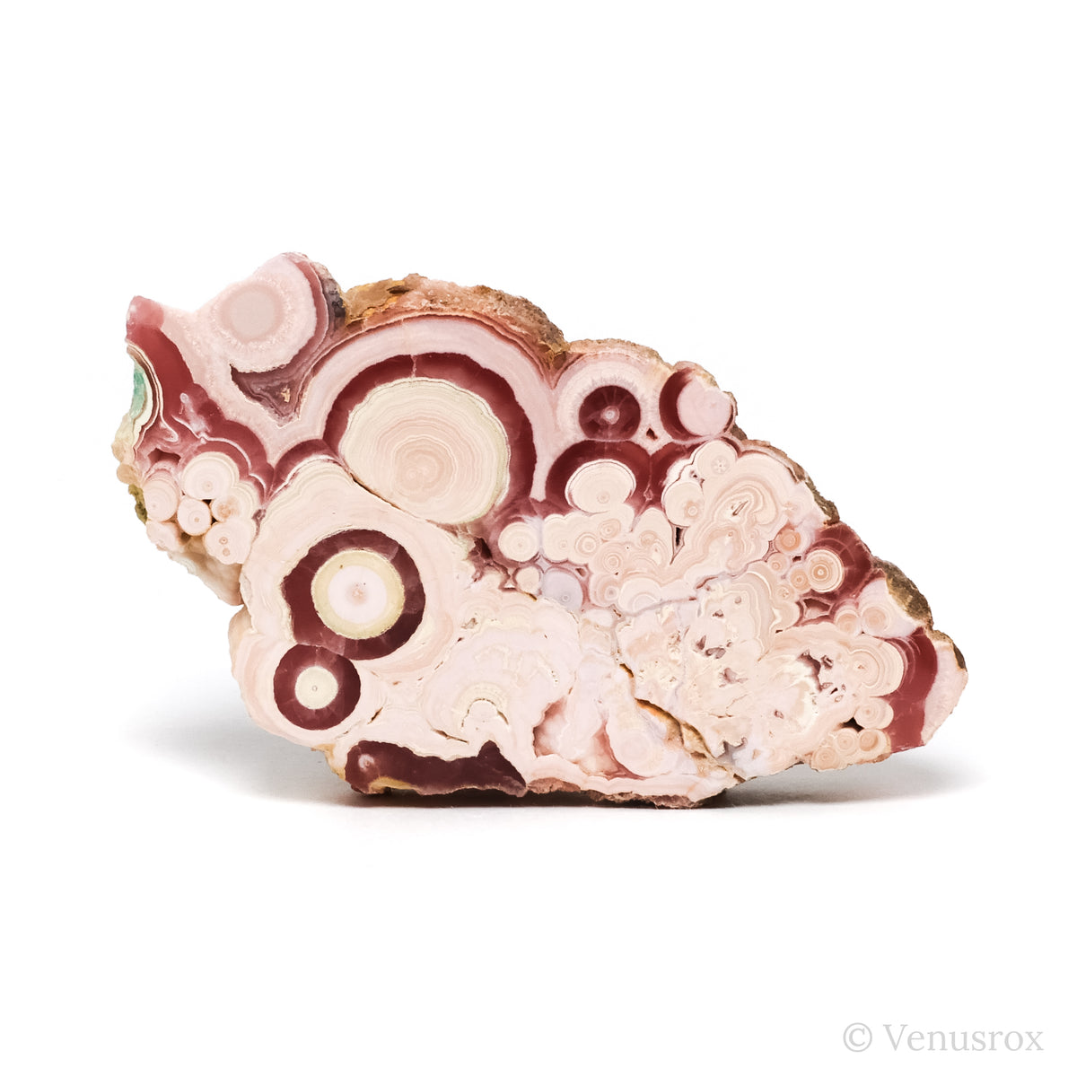 Rhodochrosite Polished/Natural Stalactite Crystal from Argentina | Venusrox