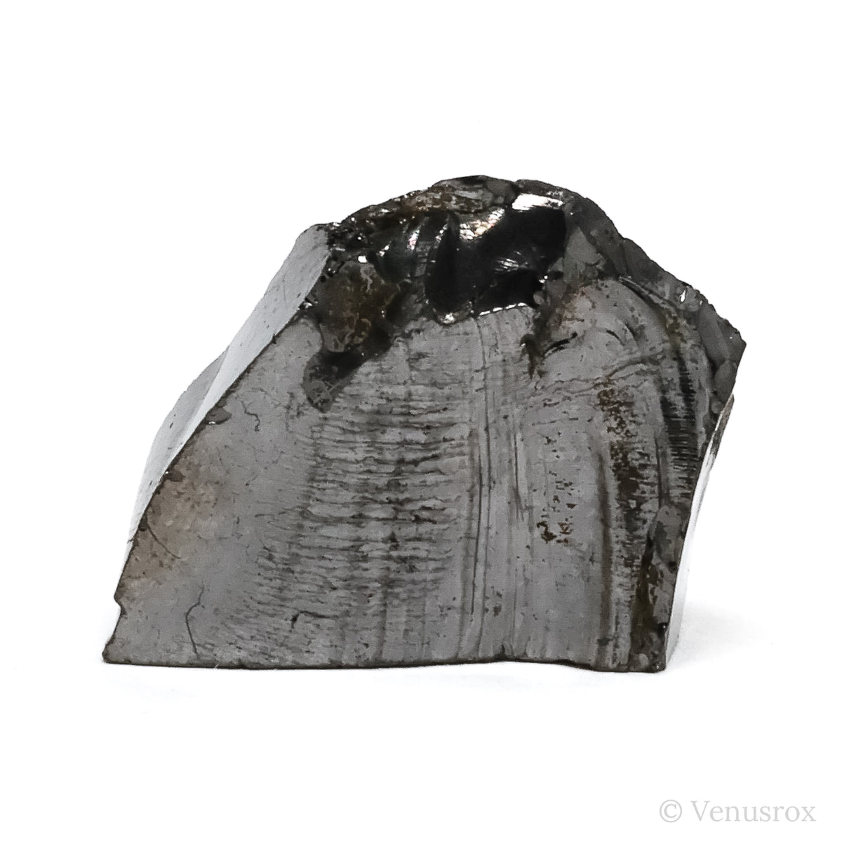 Elite Shungite from Shunga, Karelia, Russia | Venusrox