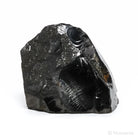 Elite Shungite from Shunga, Karelia, Russia | Venusrox
