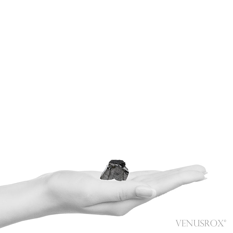 Elite Shungite from Shunga, Karelia, Russia | Venusrox