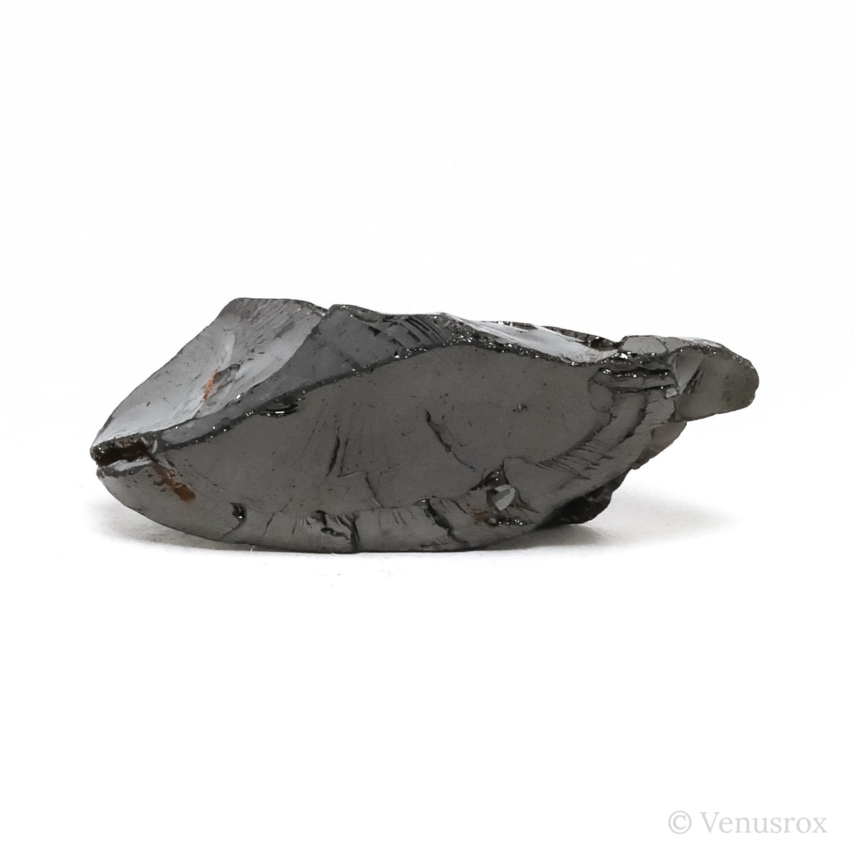 Elite Shungite from Shunga, Karelia, Russia | Venusrox