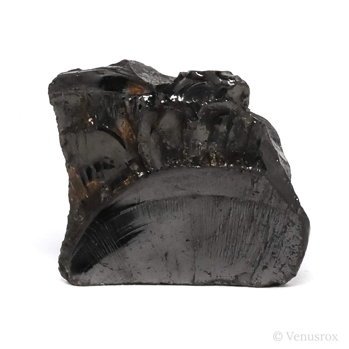 Elite Shungite from Shunga, Karelia, Russia | Venusrox