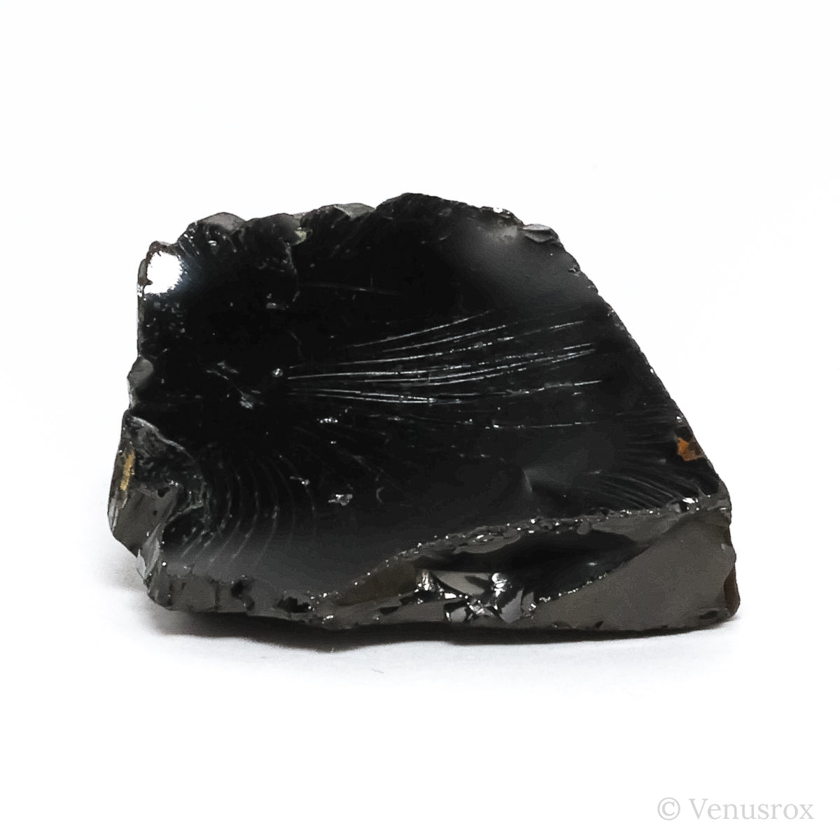 Elite Shungite from Shunga, Karelia, Russia | Venusrox