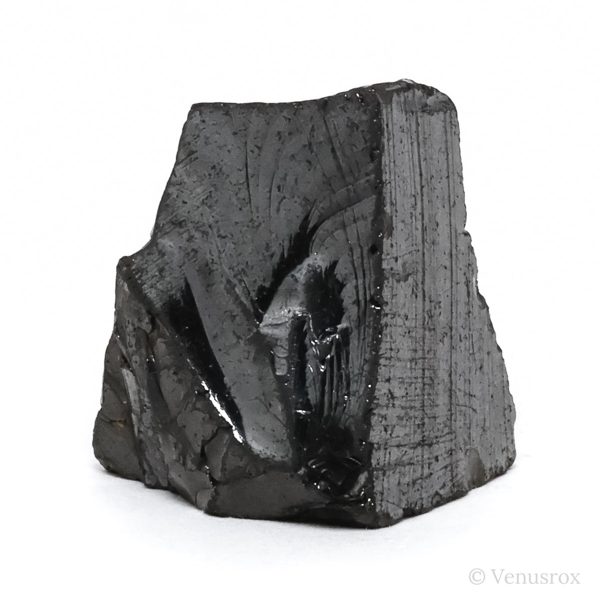 Elite Shungite from Shunga, Karelia, Russia | Venusrox