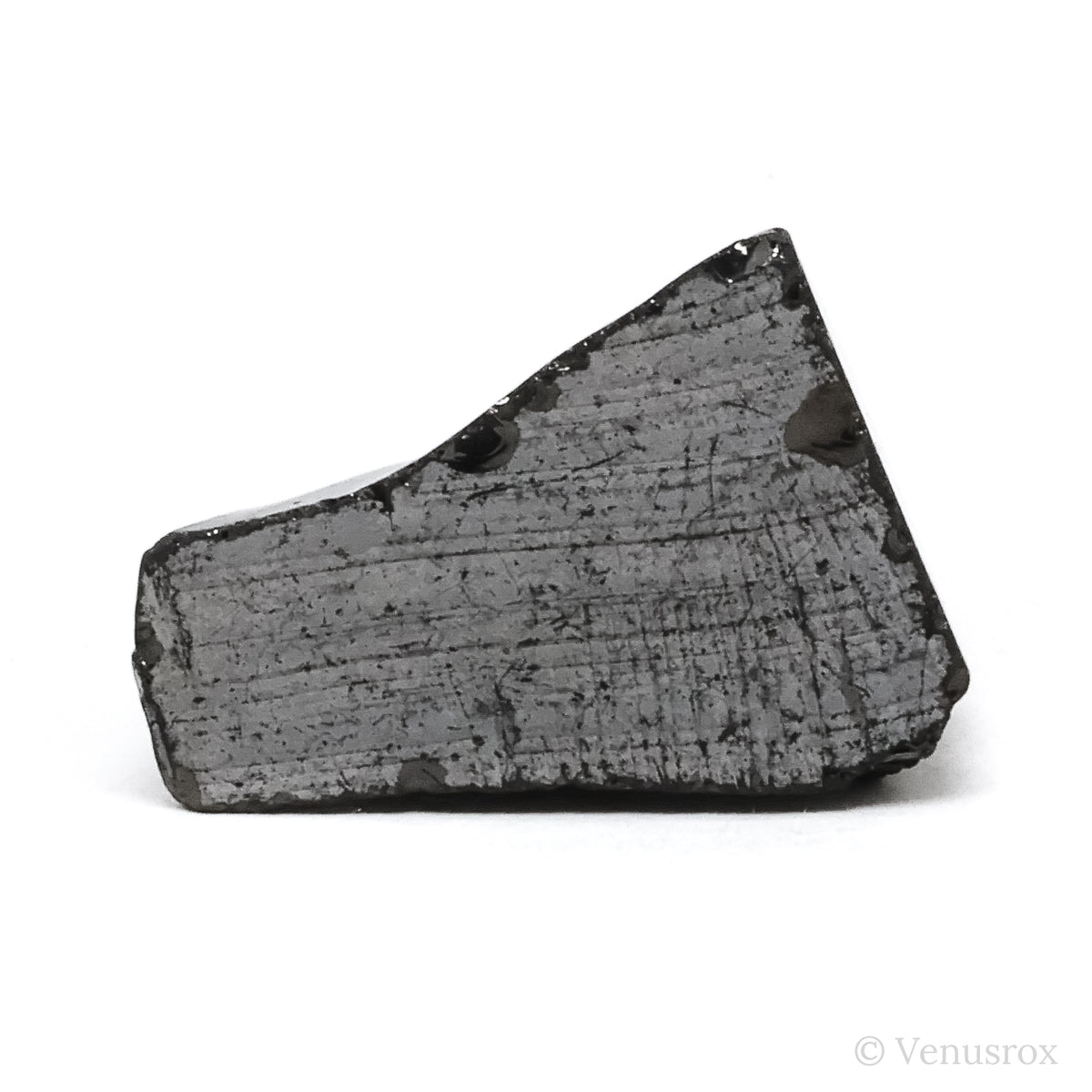 Elite Shungite from Shunga, Karelia, Russia | Venusrox