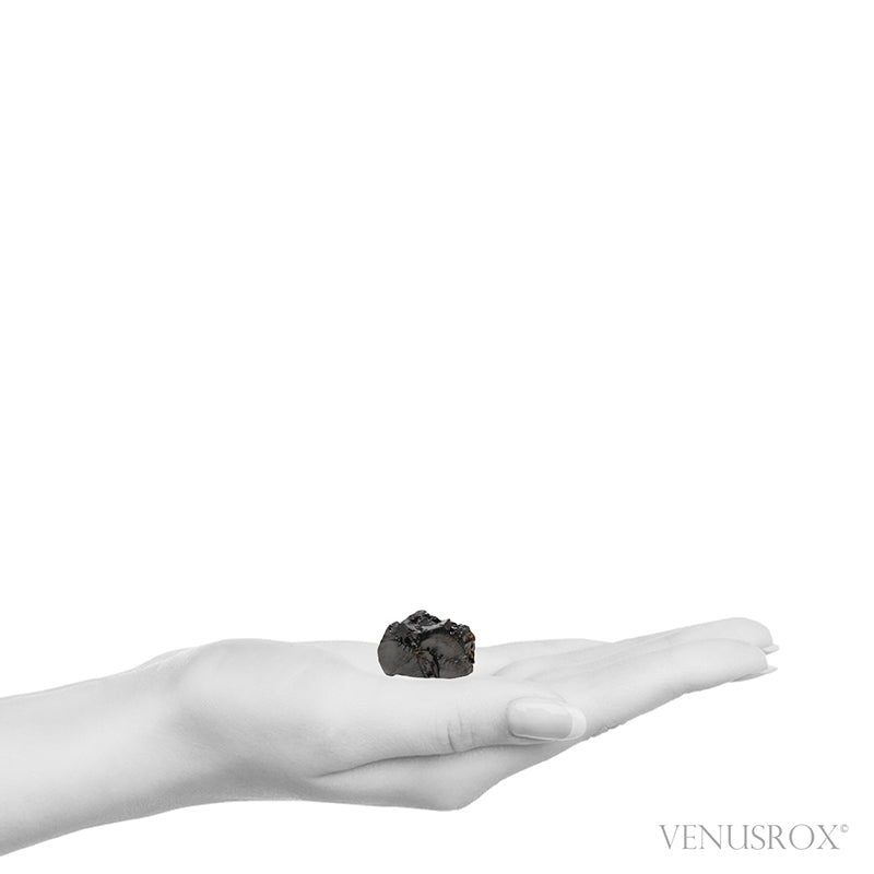 Elite Shungite from Shunga, Karelia, Russia | Venusrox