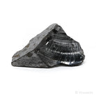 Elite Shungite from Shunga, Karelia, Russia | Venusrox