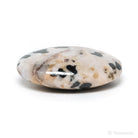 Willemite with Franklinite Polished Crystal from New Jersey, USA | Venusrox