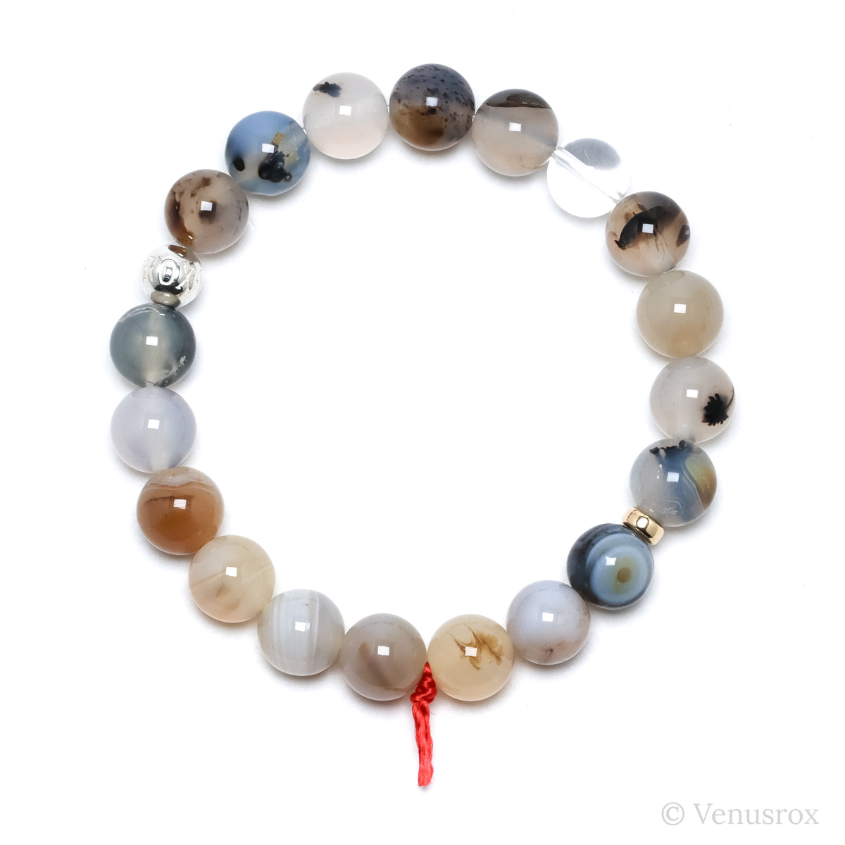 Montana Agate Bracelet from the USA | Venusrox
