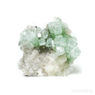 Green Apophyllite & Stilbite on Matrix Cluster from Pune District, Maharashtra, India | Venusrox