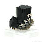 Black Tourmaline with Smoky Quartz Natural Cluster from Rondekop, Erongo Mountains, Karibib District, Erongo Region, Namibia mounted on a bespoke stand | Venusrox