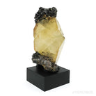 Stellar Beam Calcite with Sphalerite on Matrix Natural Cluster from the Elmwood Mine, Tennessee, USA, mounted on a bespoke stand | Venusrox