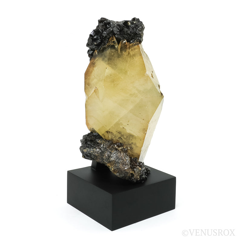 Stellar Beam Calcite with Sphalerite on Matrix Natural Cluster from the Elmwood Mine, Tennessee, USA, mounted on a bespoke stand | Venusrox