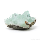 Green Apophyllite on Matrix Cluster from Jalgaon, Maharashtra, India | Venusrox