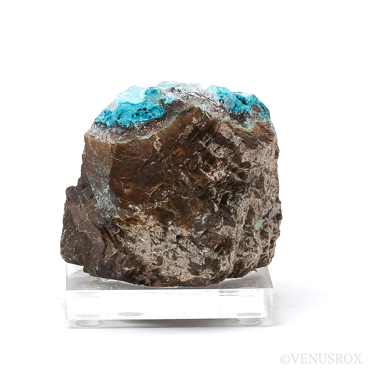 Chrysocolla with Clear Quartz & Calcite on Matrix Natural Crystal | Venusrox