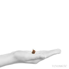 Spessartine Garnet with Smoky Quartz and Orthoclase Natural Cluster from Wushan Spessartine Mine, Tongbei, Yunxiao Co., Zhangzhou Prefecture, Fujian Province, China | Venusrox