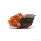 Spessartine Garnet with Smoky Quartz and Orthoclase Natural Cluster from Wushan Spessartine Mine, Tongbei, Yunxiao Co., Zhangzhou Prefecture, Fujian Province, China | Venusrox