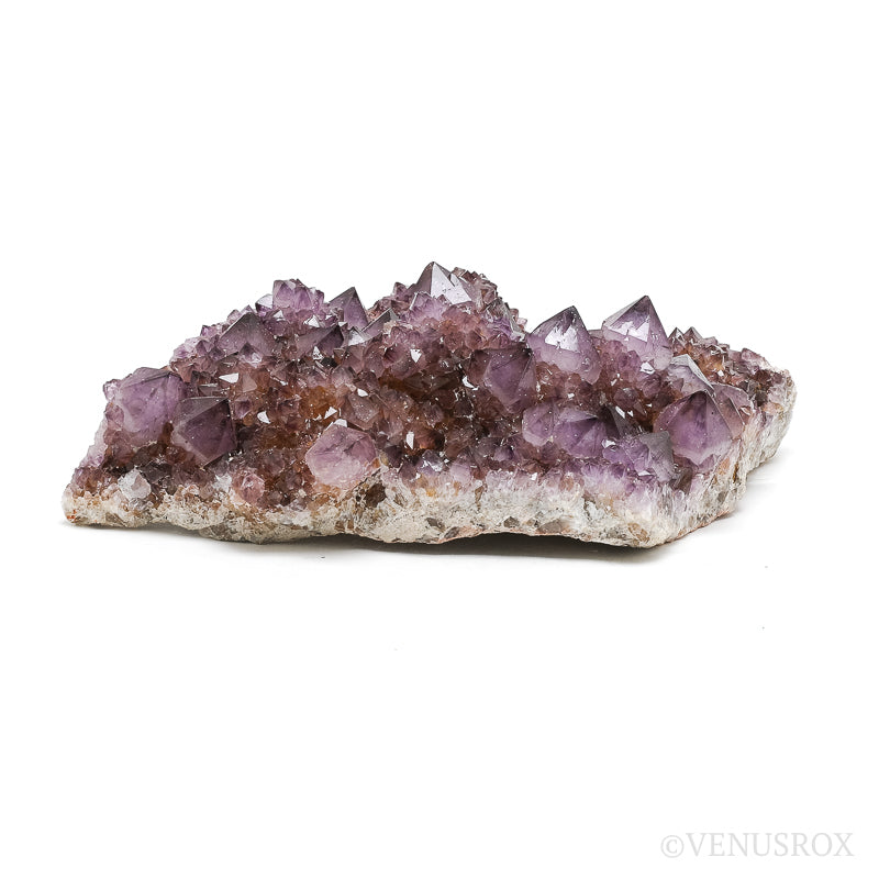 Natural Amethyst Spirit Quartz Cluster from Mpumalanga, South Africa | Venusrox