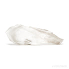 Phantom Lemurian Quartz Polished/Natural Point from Brazil | Venusrox
