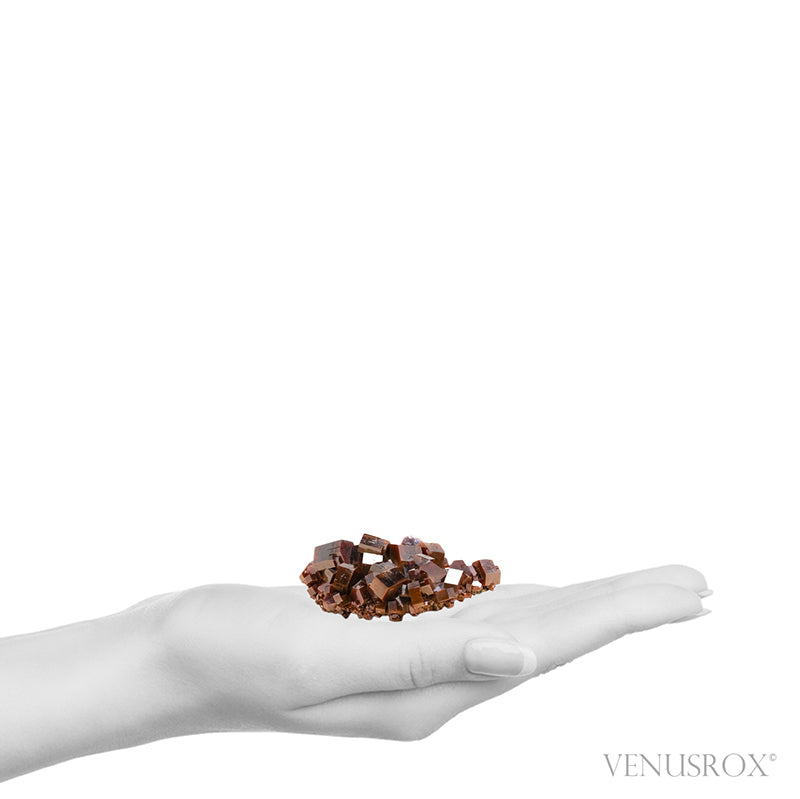 Vanadinite Natural Cluster from Mibladen, Midelt, Meknes-Tafilalet Region, Morocco | Venusrox