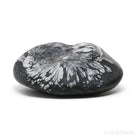 Chrysanthemum Stone from China | Venusrox