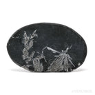 Chrysanthemum Stone from China | Venusrox