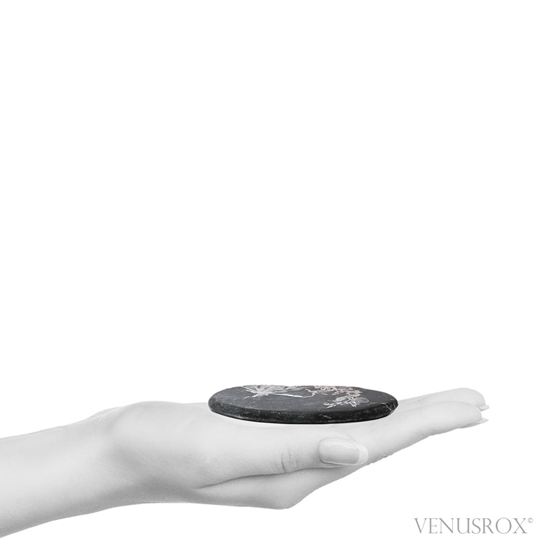 Chrysanthemum Stone from China | Venusrox