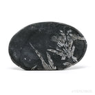 Chrysanthemum Stone from China | Venusrox