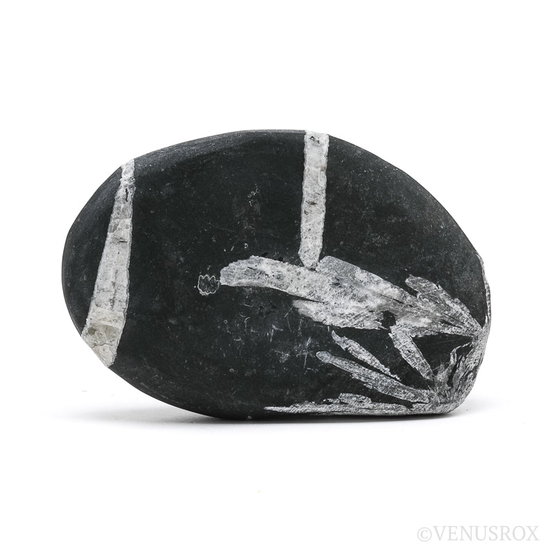 Chrysanthemum Stone from China | Venusrox