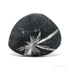 Chrysanthemum Stone from China | Venusrox