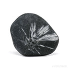 Chrysanthemum Stone from China | Venusrox