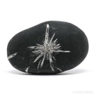 Chrysanthemum Stone from China | Venusrox