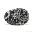 Chrysanthemum Stone from China | Venusrox