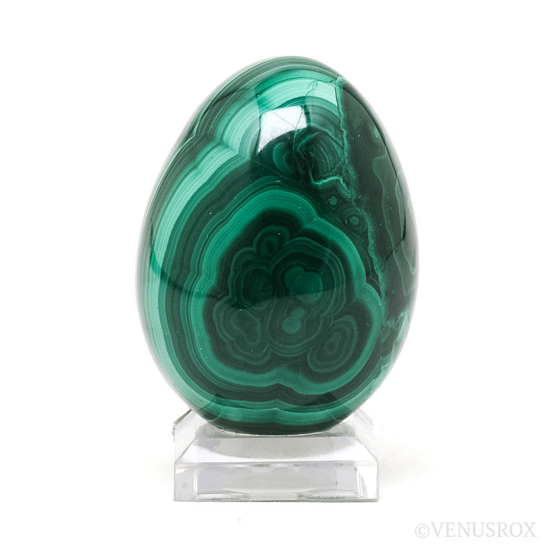 Malachite Polished Egg from the Democratic Republic of Congo | Venusrox