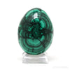 Malachite Polished Egg from the Democratic Republic of Congo | Venusrox