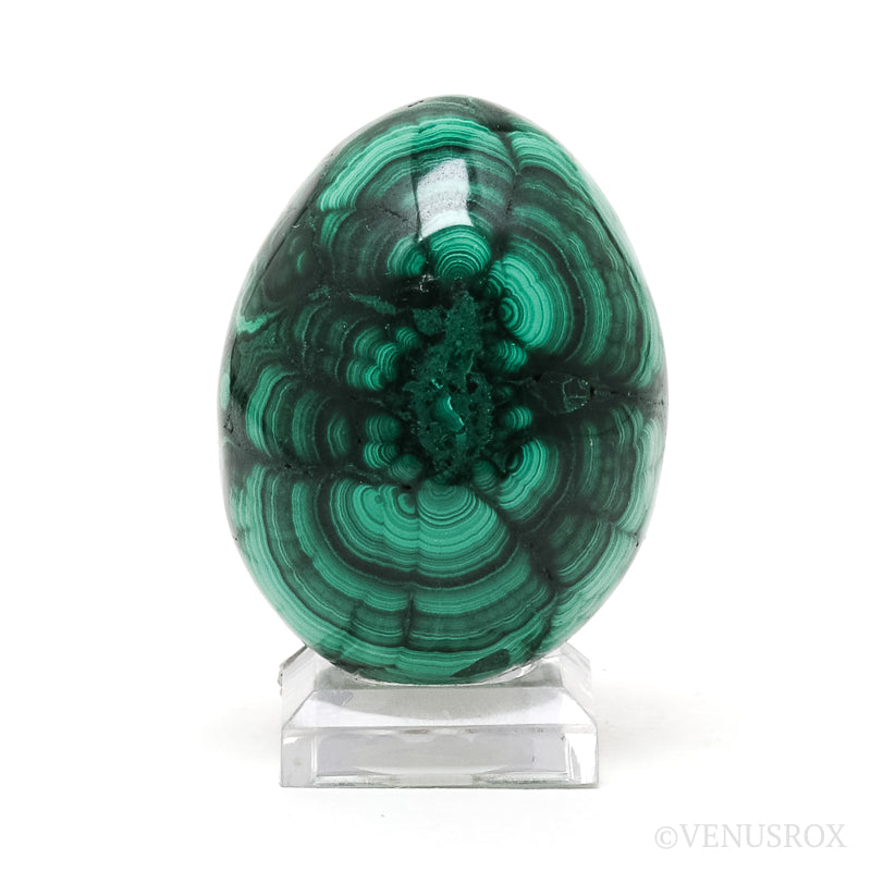 Malachite Polished Egg from the Democratic Republic of Congo | Venusrox