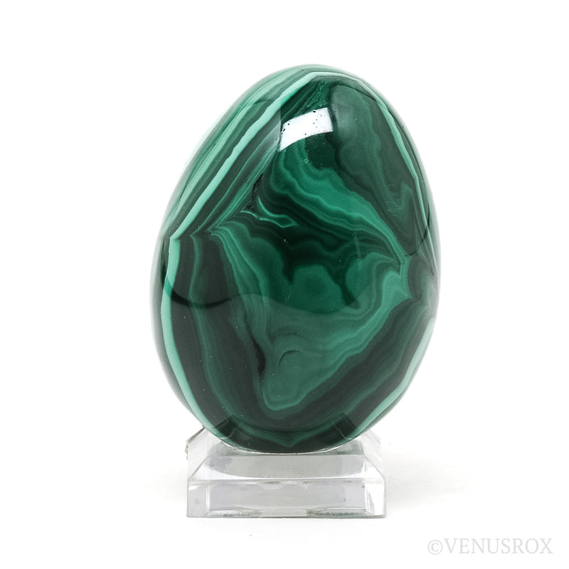 Malachite Polished Egg from the Democratic Republic of Congo | Venusrox