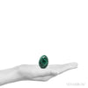 Malachite Polished Egg from the Democratic Republic of Congo | Venusrox