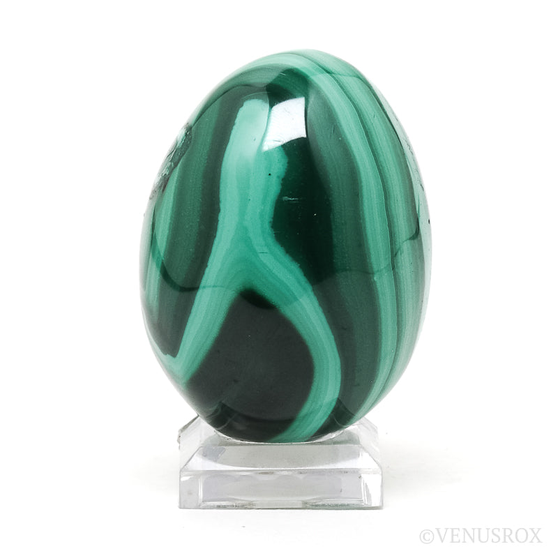 Malachite Polished Egg from the Democratic Republic of Congo | Venusrox