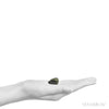 Moldavite Crystal from Chlum, Czech Republic | Venusrox